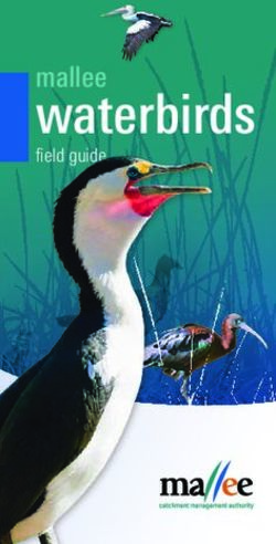 Waterbirds mallee field guide