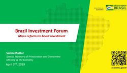 Brazil Investment Forum - Micro reforms to boost investment Salim Mattar