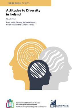 Attitudes to Diversity in Ireland - March 2018 RESEARCH SERIES - Irish Human Rights and Equality ...