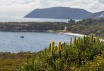 Western Australia Wildflower Tour of - with Heidi Martin - Travelrite