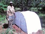 Support Project to the Regional Plan for Fruit Flies Monitoring and Control in West Africa