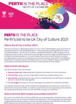 PERTH IS THE PLACE: Perth's bid to be UK City of Culture 2021 - Centre for Inclusive ...