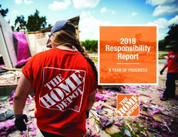 Responsibility Report - 2018 A YEAR OF PROGRESS - The Home Depot