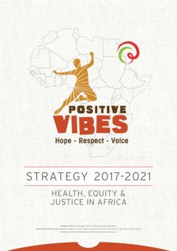 STRATEGY 2017-2021 HEALTH, EQUITY & JUSTICE IN AFRICA - Positive Vibes