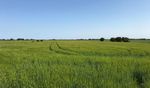 "DoubleClick Insert Picture" - 104.69 acres (42.37ha) Arable Land South Somercotes, Louth, Lincolnshire LN11 7BN - UK Land & Farms