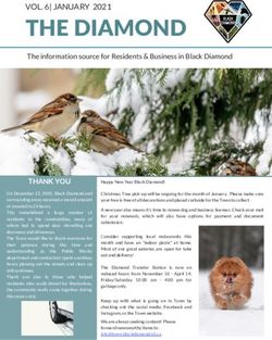 THE DIAMOND VOL. 6| JANUARY 2021 - Town of Black Diamond