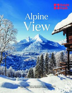 THE LATEST INSIGHTS AND LIFESTYLE TRENDS SHAPING THE LUXURY ALPINE PROPERTY MARKET IN 2019 - Naef Prestige