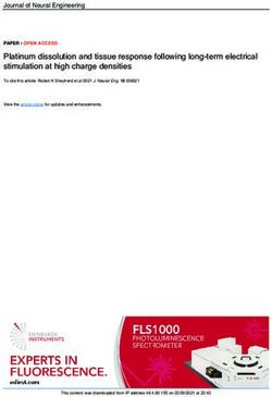 Platinum dissolution and tissue response following long-term electrical stimulation at high charge densities