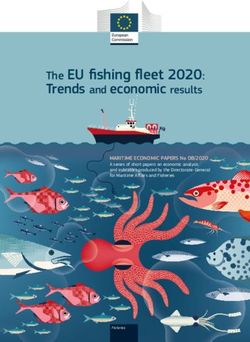 The EU fishing fleet 2020: Trends and economic results MARITIME ECONOMIC PAPERS No 08/2020 - CCRUP