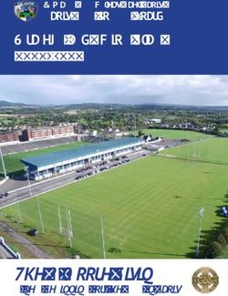 The O'Moore Rising A new beginning for the GAA in Laois - Strategy and Action Plan 2018-2020