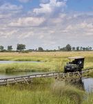 So you have always wanted to - Experience the classic Botswana fly-in safari - Great Plains Conservation