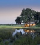 So you have always wanted to - Experience the classic Botswana fly-in safari - Great Plains Conservation