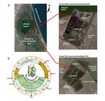 Two constructed wetlands within a Mediterranean natural park immersed in an agrolandscape reduce most heavy metal water concentrations and dampen ...