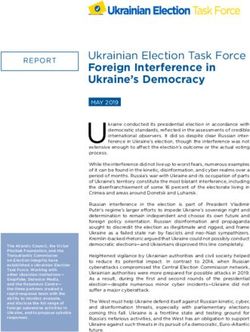 Foreign Interference in Ukraine's Democracy - Ukraine Elects