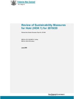 Review of Sustainability Measures for Hoki (HOK 1) for 2019/20 - June 2019 - Fisheries New ...