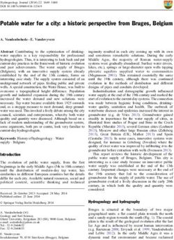 Potable water for a city: a historic perspective from Bruges, Belgium