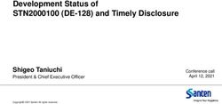 Development Status of STN2000100 (DE-128) and Timely Disclosure - Shigeo Taniuchi