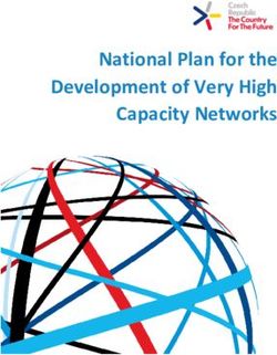 National Plan for the Development of Very High Capacity Networks