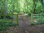 Steeple Aston - Inside SAL this month