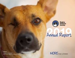 Honey Adopted January 2019 Photo credit: Diggety Dog Pet Photography - Regina Humane Society