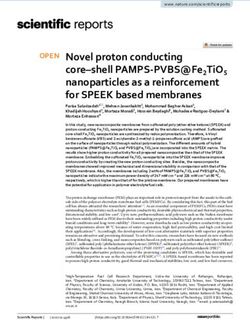 NOVEL PROTON CONDUCTING CORE-SHELL PAMPS PVBS@FE2TIO5 NANOPARTICLES AS A REINFORCEMENT FOR SPEEK BASED MEMBRANES