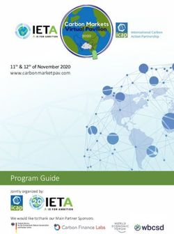 Program Guide - www.carbonmarketpav.com 11th & 12th of November 2020 - International Emissions Trading Association