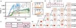 Model-Free Quantum Control with Reinforcement Learning