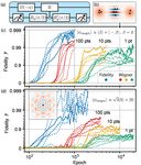 Model-Free Quantum Control with Reinforcement Learning