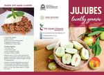 Overcoming barriers to development of the - Australian jujube industry by Rachelle Johnstone