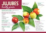 Overcoming barriers to development of the - Australian jujube industry by Rachelle Johnstone