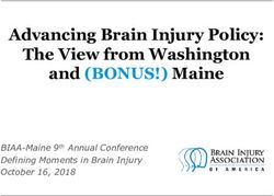 Advancing Brain Injury Policy: The View from Washington and (BONUS!) Maine - BIAA-Maine 9th Annual Conference Defining Moments in Brain Injury ...