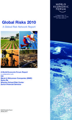 Global Risks 2010 A Global Risk Network Report