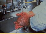 BLOODBORNE PATHOGENS (BBP) ANNUAL TRAINING - FOR MEMBERS OF NCSU POLICE DEPARTMENT