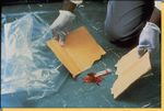 BLOODBORNE PATHOGENS (BBP) ANNUAL TRAINING - FOR MEMBERS OF NCSU POLICE DEPARTMENT