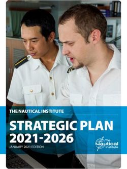STRATEGIC PLAN 2021-2026 - THE NAUTICAL INSTITUTE JANUARY 2021 EDITION