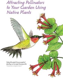 Attracting Pollinators to Your Garden Using Native Plants