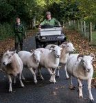 Local Produce Guide 2021/22 - The New Forest Marque