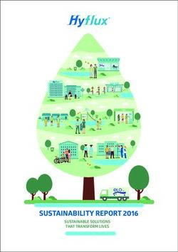 SUSTAINABILITY REPORT 2016 - SUSTAINABLE SOLUTIONS THAT TRANSFORM LIVES - UN Global Compact