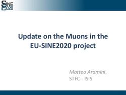 Update on the Muons in the EU-SINE2020 project - Matteo Aramini, STFC - ISIS - ISIS ...
