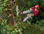 Climb up for a closer look at life in some treetop water tanks.