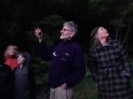 The success of bufferzones - Wai-o-te-Kauri Stream where the Kauri grows - Forest and Bird