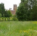 SPRING/SUMMER 2021 - Gig in the Gardens