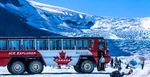Railroading in the Canadian Rockies - AUGUST 10 - 19, 2020 - with host AMY UNRAU, Holiday Vacations