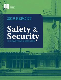 Security Safety & 2019 REPORT - Downtown Business Association