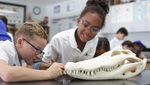 LAKE HIGHLAND PREPARATORY SCHOOL PRESIDENT - Orlando, Florida Start Date: July 2022 lhps.org