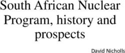 South African Nuclear Program, history and prospects - David Nicholls - African ...