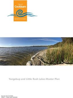 Yangebup and Little Rush Lakes Master Plan