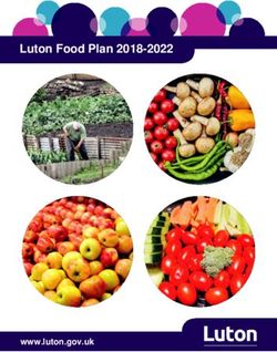Luton Food Plan 2018-2022 - www.luton.gov.uk - Luton Borough Council