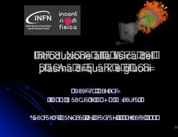 Introduzione alla fisica del plasma di quark e gluoni - Federico Antinori (INFN, Padova e CERN, Ginevra) Laboratori Nazionali di Frascati, 4 ...