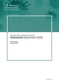 Netherlands (November 2020) - IZA COVID-19 Crisis Response Monitoring Egbert Jongen Paul Verstraten - Institute of Labor ...